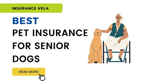 best insurance for senior dogs.